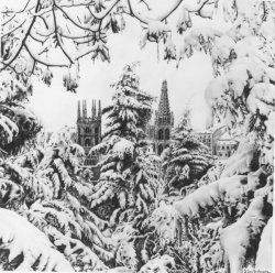 Catedral de Burgos desde el Parque del Castillo nevado-1